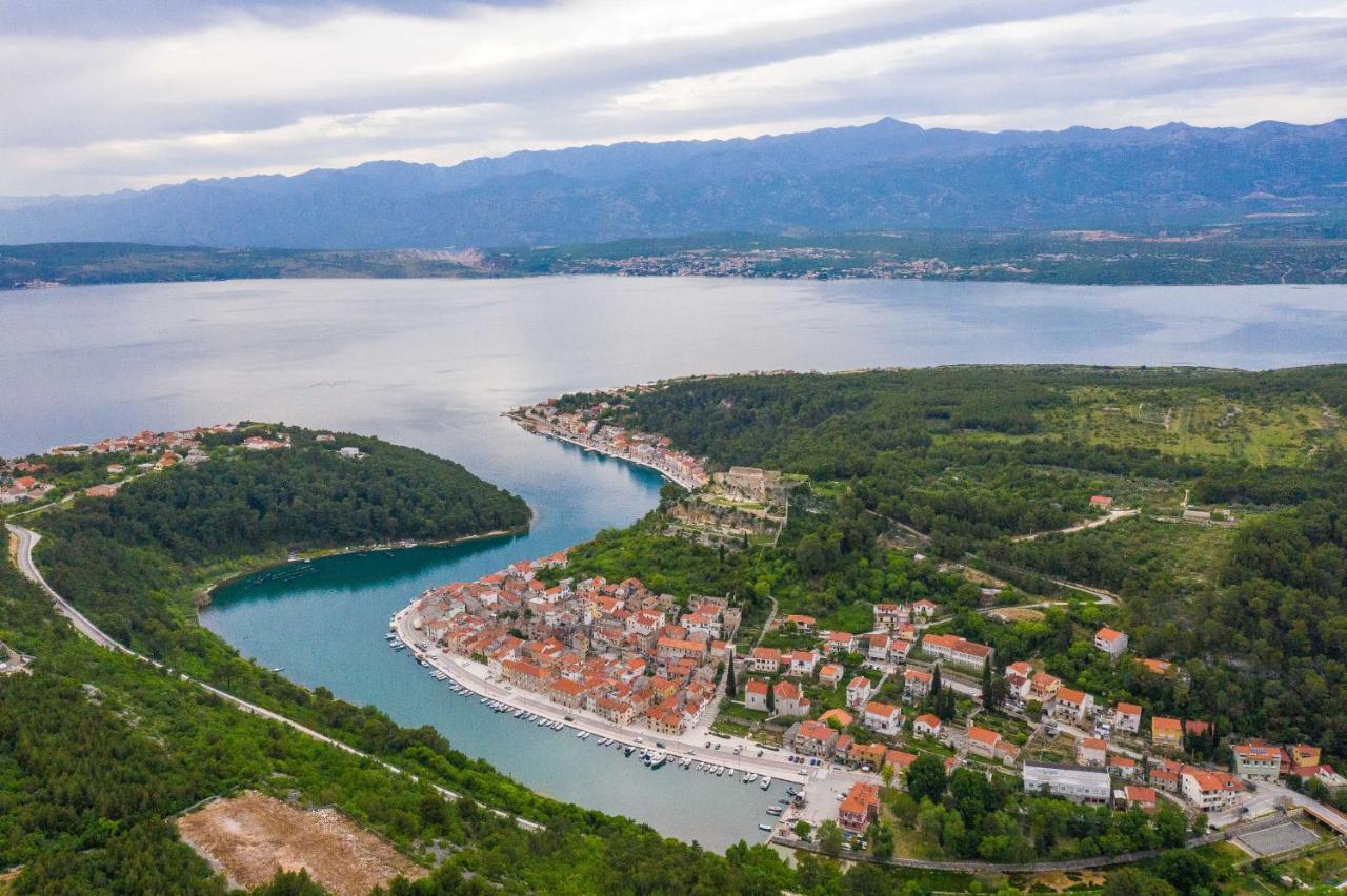 Villa Calendula Novigrad  Εξωτερικό φωτογραφία
