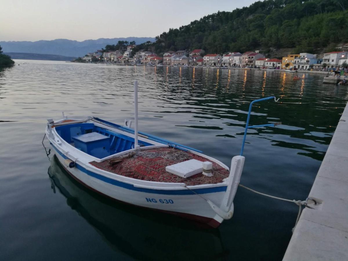 Villa Calendula Novigrad  Εξωτερικό φωτογραφία