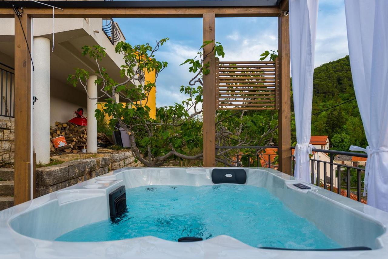 Villa Calendula Novigrad  Εξωτερικό φωτογραφία