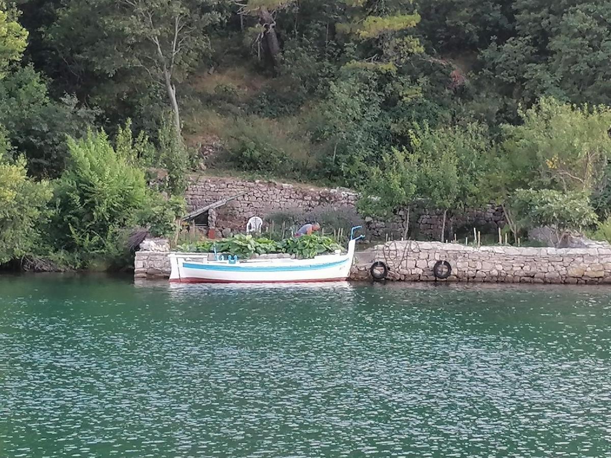 Villa Calendula Novigrad  Εξωτερικό φωτογραφία